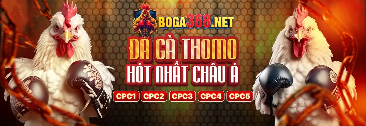 Tổng quan về nền tảng kv888
